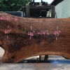 Goby Walnut Products Oregon Black Walnut Slab 062121-06