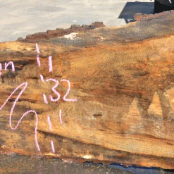 Goby Walnut Oregon White Oak 062320-01 Green Slabs