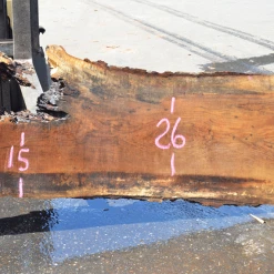 Goby Walnut Green Slabs Oregon White Oak 062320-08