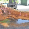 Goby Walnut Green Slabs Oregon White Oak 062420-01