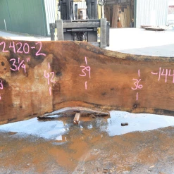 Goby Walnut Oregon White Oak 062420-02 Green Slabs