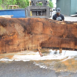 Goby Walnut Oregon White Oak 062420-04 Green Slabs