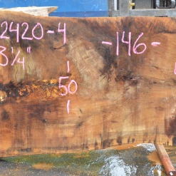 Goby Walnut Oregon White Oak 062420-04 Green Slabs