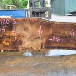 Goby Walnut Oregon White Oak 062420-05