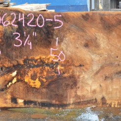 Goby Walnut Oregon White Oak 062420-05