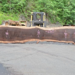 Goby Walnut Products Green Slabs 062519-04 Oregon Black Walnut Slab