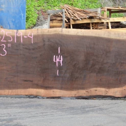 Goby Walnut Products Green Slabs 062519-04 Oregon Black Walnut Slab