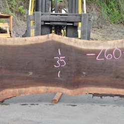 Goby Walnut Products Green Slabs 062519-04 Oregon Black Walnut Slab
