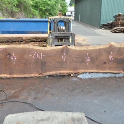 Goby Walnut Products 062519-05 Oregon Black Walnut Slab