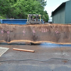 Goby Walnut Products 062519-09 Oregon Black Walnut Slab Green Slabs