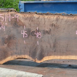 Goby Walnut Products 062519-09 Oregon Black Walnut Slab Green Slabs