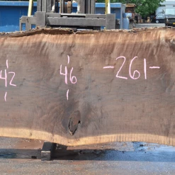 Goby Walnut Products 062519-09 Oregon Black Walnut Slab Green Slabs