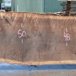 Goby Walnut Products 062519-09 Oregon Black Walnut Slab Green Slabs