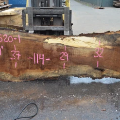 Goby Walnut Green Slabs Oregon White Oak 062520-01