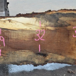 Goby Walnut Green Slabs Oregon White Oak 062520-01