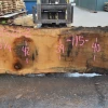 Goby Walnut Oregon White Oak 062520-02 Green Slabs