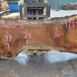 Goby Walnut Oregon White Oak 062520-03