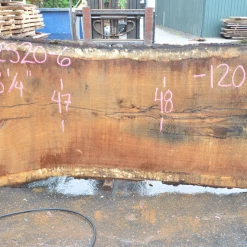 Goby Walnut Oregon White Oak 062520-06