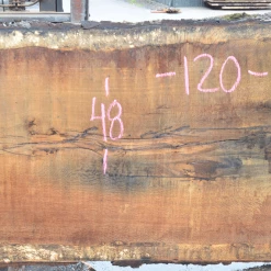 Goby Walnut Oregon White Oak 062520-06