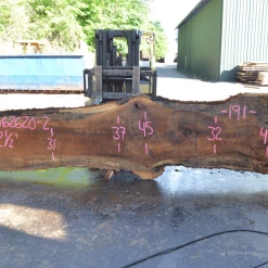 Goby Walnut Oregon White Oak 062620-02 Green Slabs