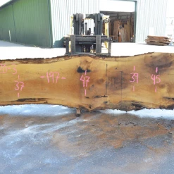 Goby Walnut Oregon White Oak 062620-03