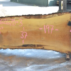 Goby Walnut Oregon White Oak 062620-03