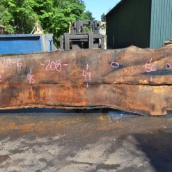 Goby Walnut Oregon White Oak 062620-06 Green Slabs