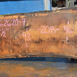 Goby Walnut Green Slabs Oregon White Oak 062620-07