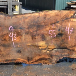 Goby Walnut Green Slabs Oregon White Oak 062620-08
