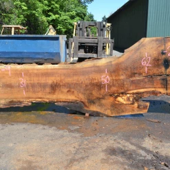 Goby Walnut Oregon White Oak 062620-09 Green Slabs