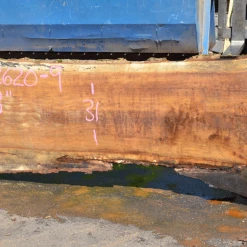 Goby Walnut Oregon White Oak 062620-09 Green Slabs