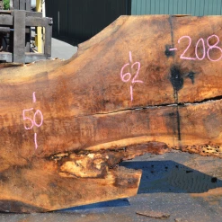 Goby Walnut Oregon White Oak 062620-09 Green Slabs