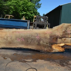Goby Walnut Oregon White Oak 062620-10 Green Slabs