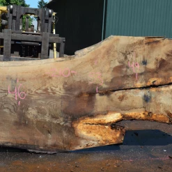 Goby Walnut Oregon White Oak 062620-10 Green Slabs