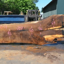 Goby Walnut Oregon White Oak 062620-11 Green Slabs