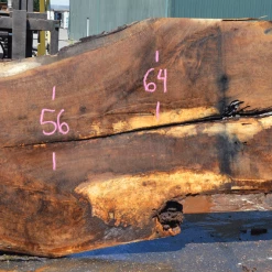 Goby Walnut Oregon White Oak 062620-11 Green Slabs