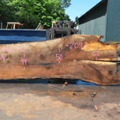 Goby Walnut Oregon White Oak 062620-12