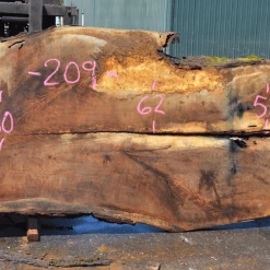 Goby Walnut Oregon White Oak 062620-12