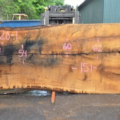 Goby Walnut Oregon White Oak 062720-01 Green Slabs