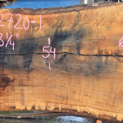 Goby Walnut Oregon White Oak 062720-01 Green Slabs