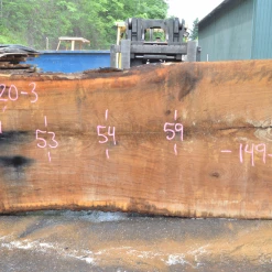 Goby Walnut Oregon White Oak 062720-03 Green Slabs