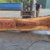 Goby Walnut Oregon White Oak 062920-01 Green Slabs