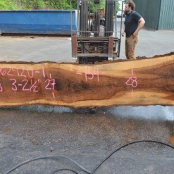 Goby Walnut Oregon White Oak 062920-01 Green Slabs