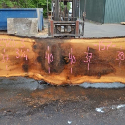 Goby Walnut Oregon White Oak 062920-03