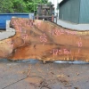 Goby Walnut Oregon White Oak 062920-07 Green Slabs