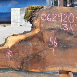 Goby Walnut Oregon White Oak 062920-08