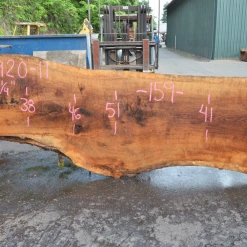 Goby Walnut Green Slabs Oregon White Oak 062920-11