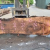 Goby Walnut Green Slabs Oregon Black Walnut Slab 070120-02
