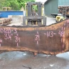 Goby Walnut Oregon Black Walnut Slab 070120-03 Green Slabs