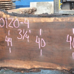 Goby Walnut Oregon Black Walnut Slab 070120-04 Green Slabs